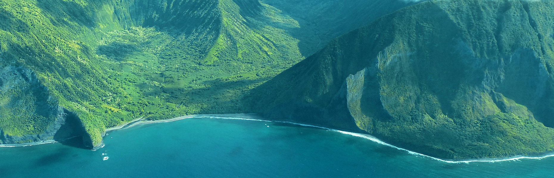 Steep green sea cliffs along the coast of Molokaʻi