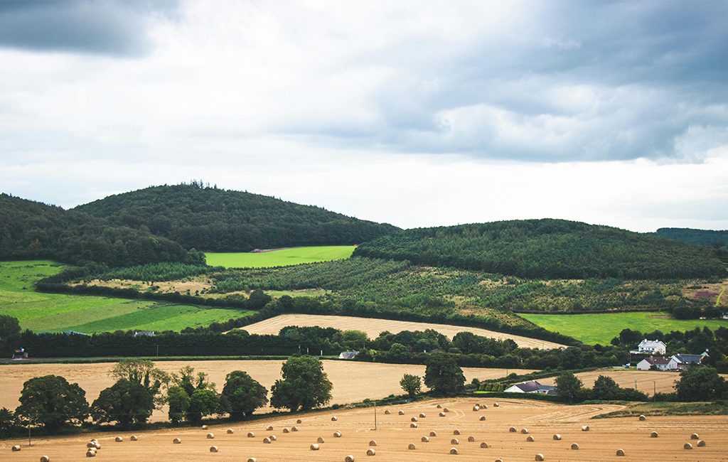 Patchwork fields and woodland in the Irish countryside