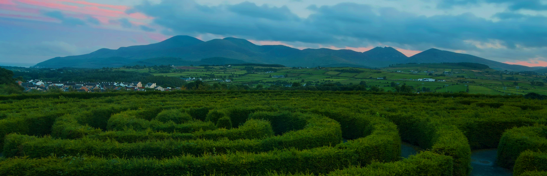 Green countryside with hedges and distant mountains in Ireland