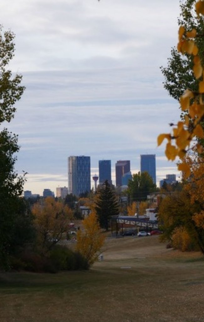 The Calgary skyline framed by autumn trees