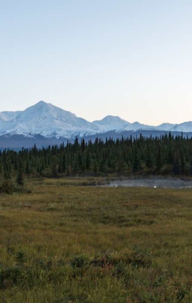 A moose in a wide Alaskan landscape at sunrise