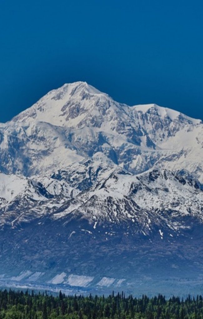 Snowcapped Denali above green forest under a blue sky