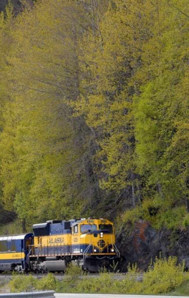 An Alaska Railroad train passing through forest near Anchorage