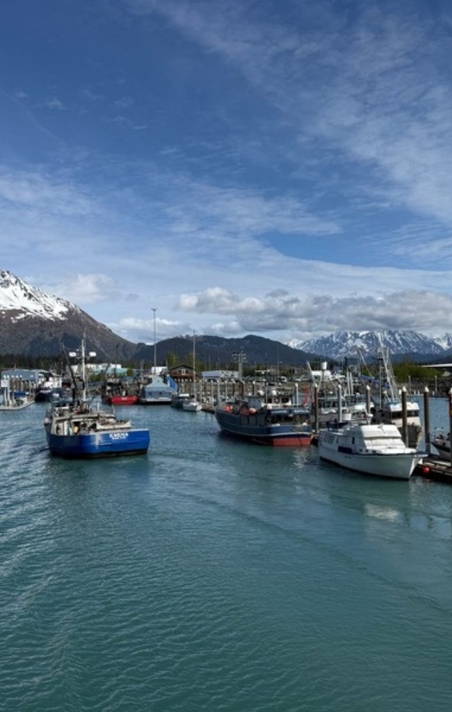 Boats in Seward harbour below snowy mountains