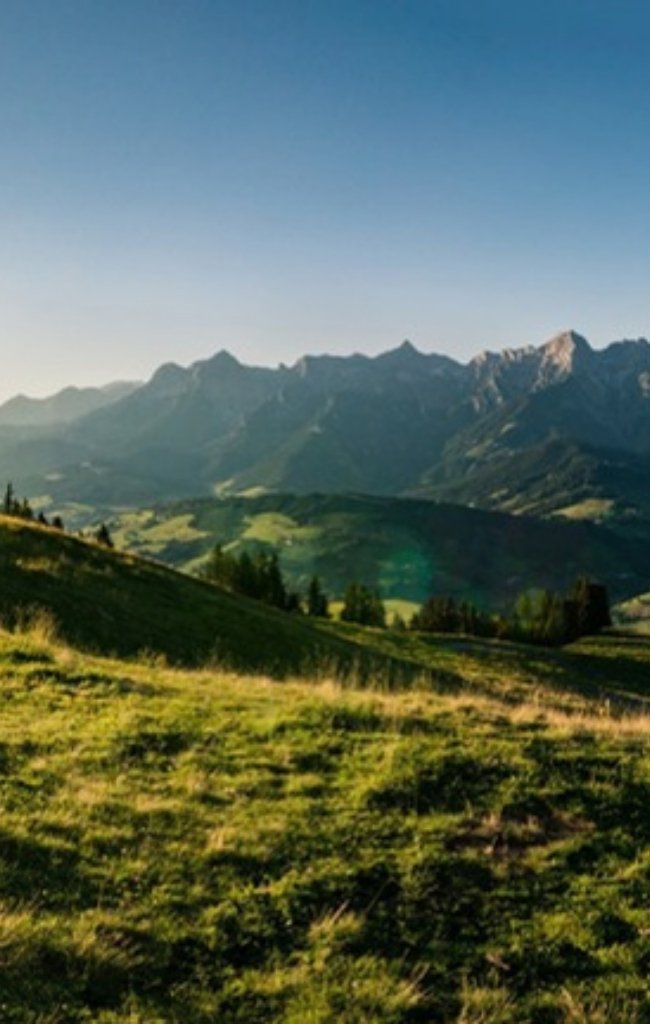 Evening light on Alpine meadows below the Hochkönig massif