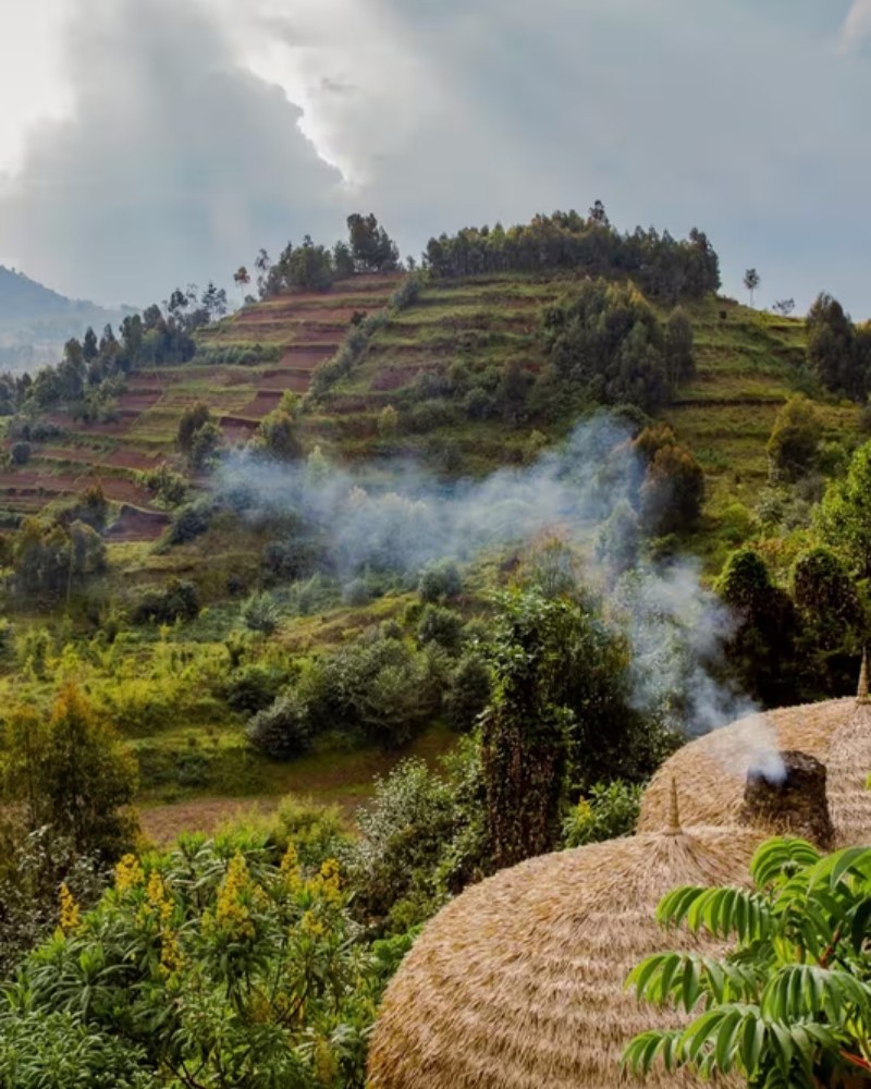 Terraced green hills and thatched huts in Rwanda