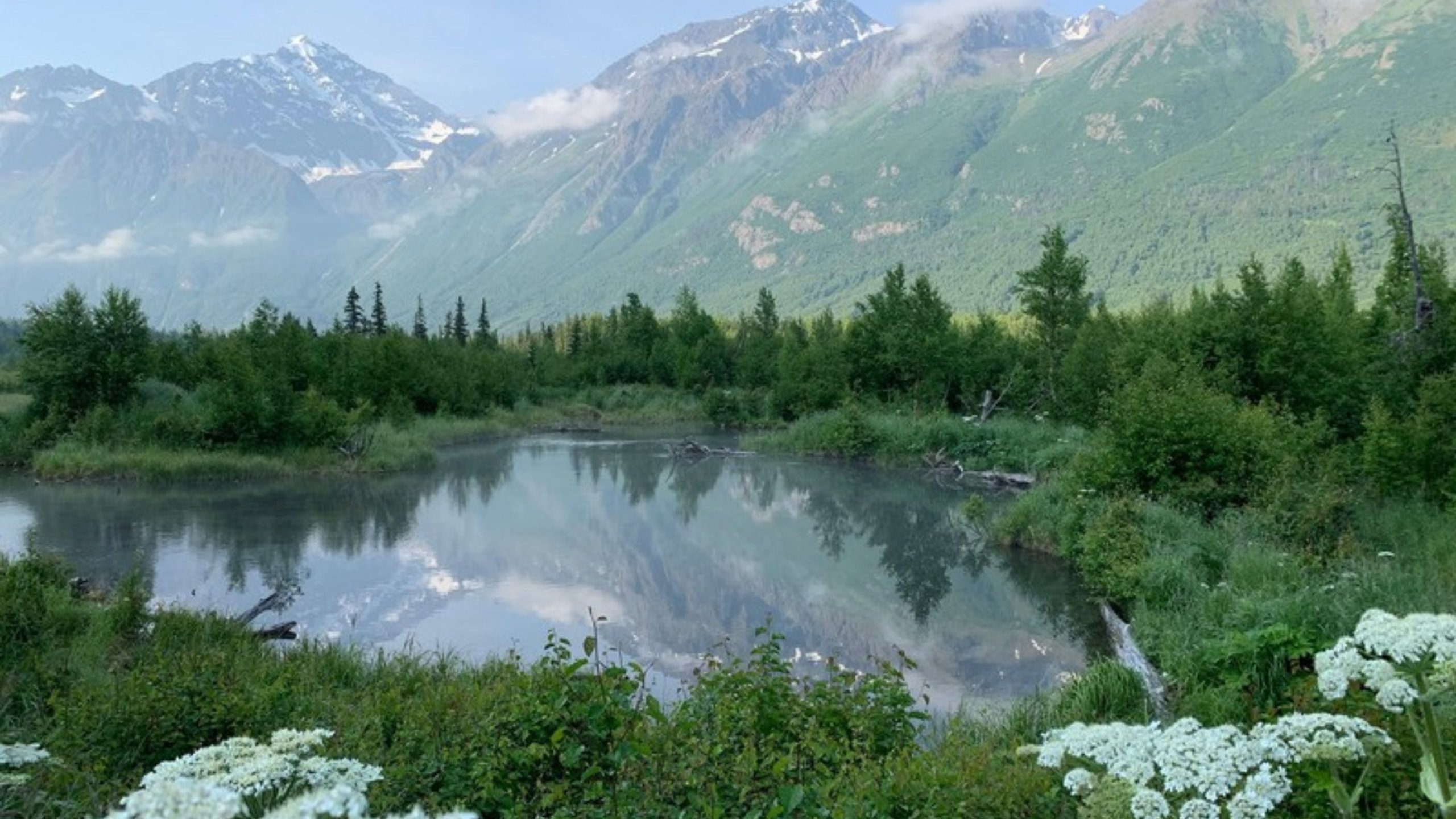 Green mountains reflected in a lake near Anchorage