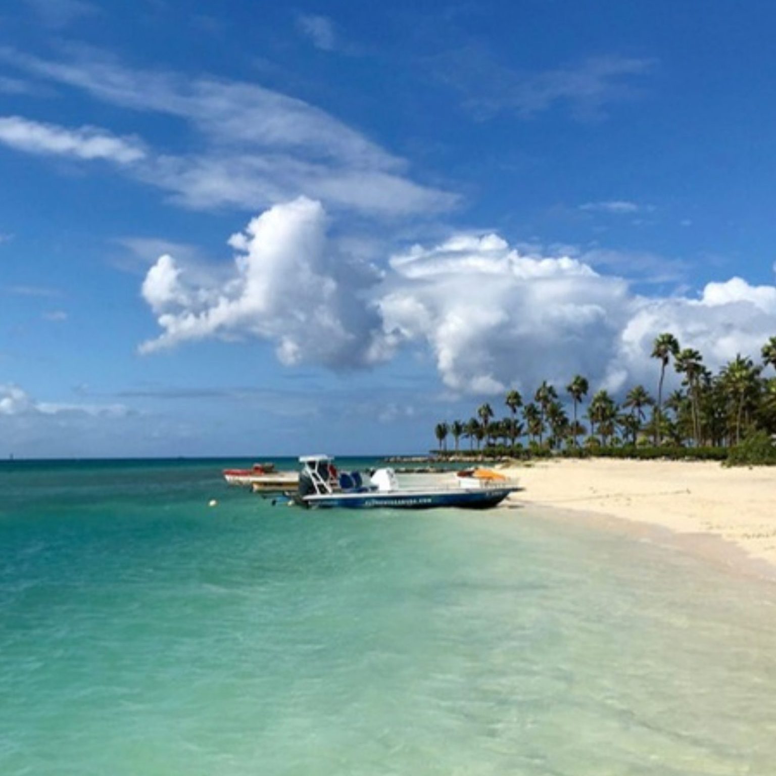 Boats moored off a palm-lined beach in Aruba