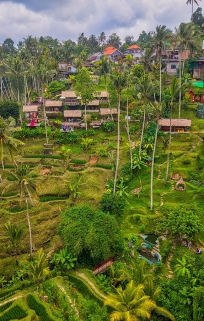 The Tegallalang rice terraces near Ubud