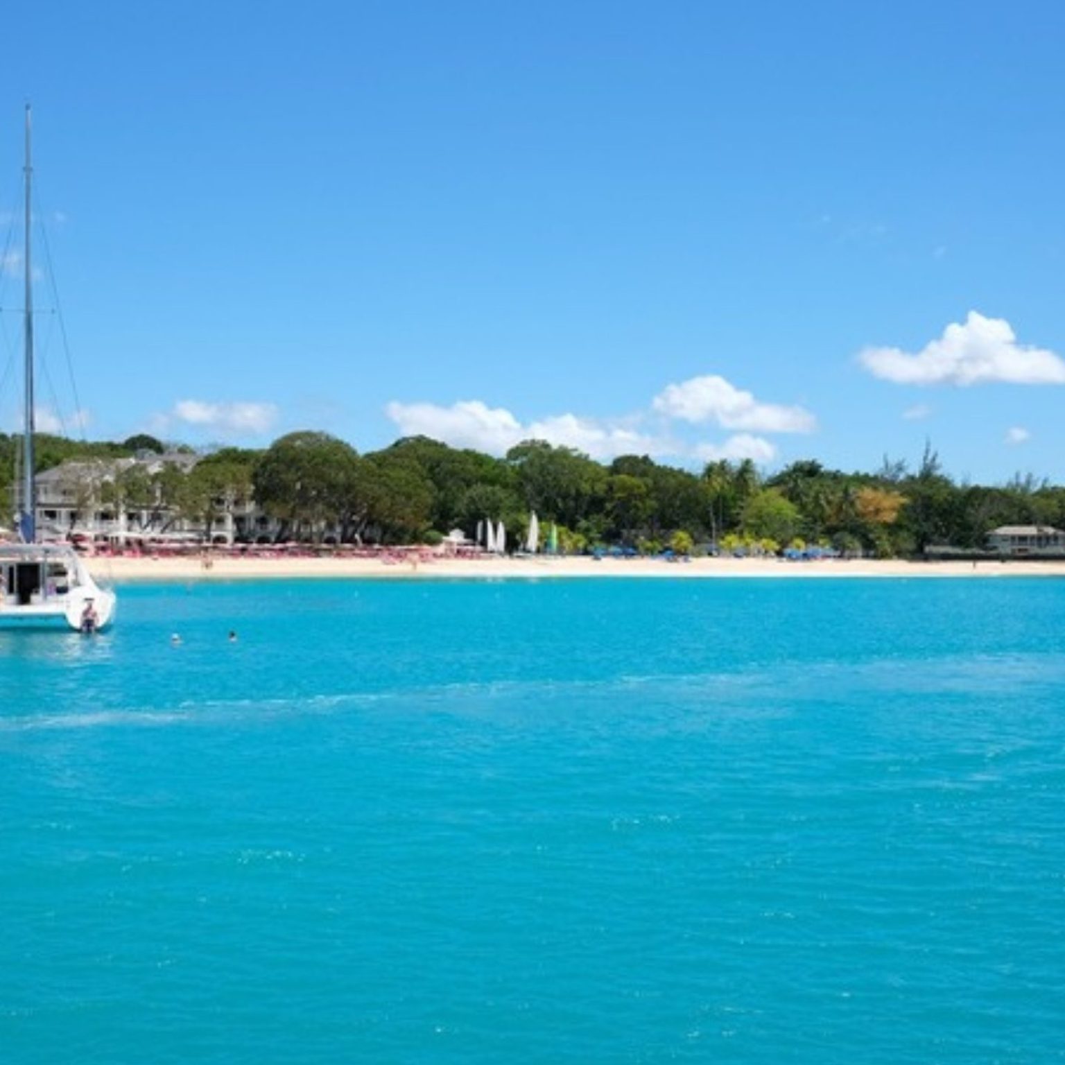 Catamaran anchored off a Barbados beach