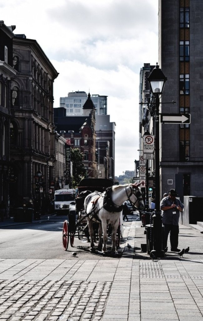 A horse-drawn carriage on a street in Old Montreal
