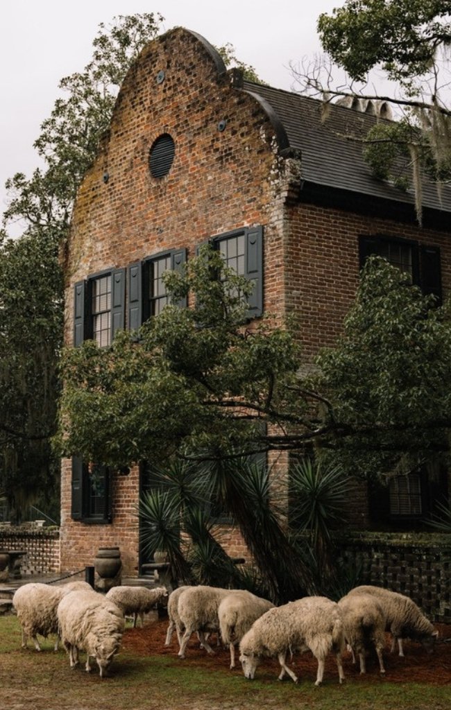 Sheep grazing before a historic brick house on an Ashley River estate