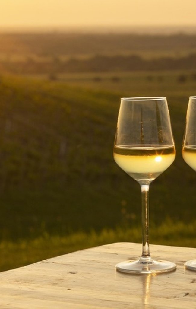 Two glasses of white wine at sunset above a vineyard