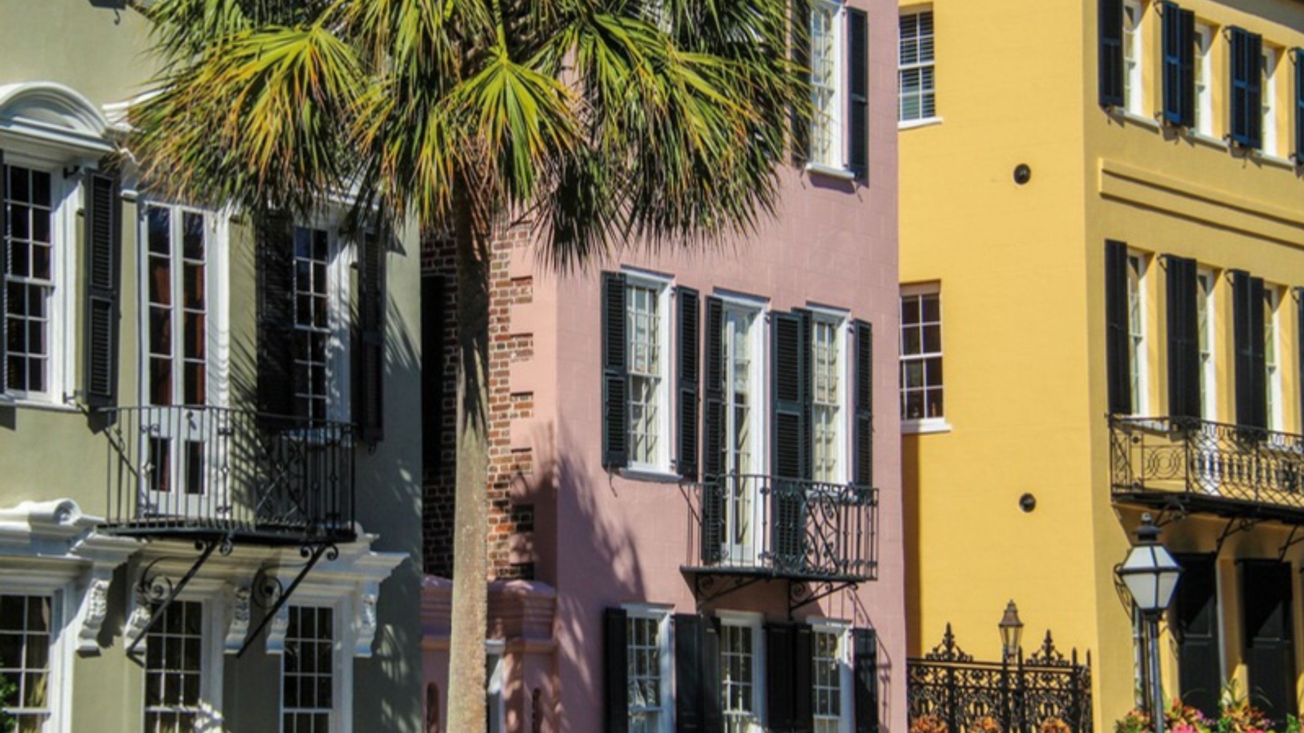 Pastel historic houses and palmettos in Charleston