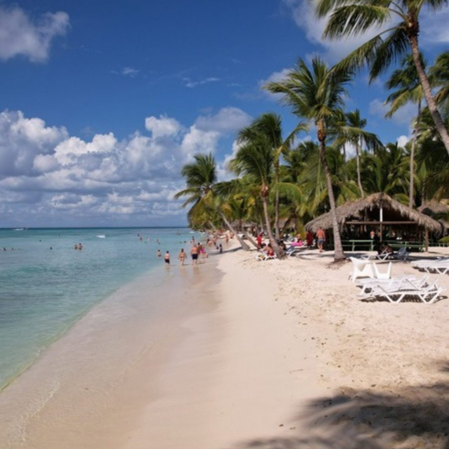 Palm-lined white sand beach in the Dominican Republic