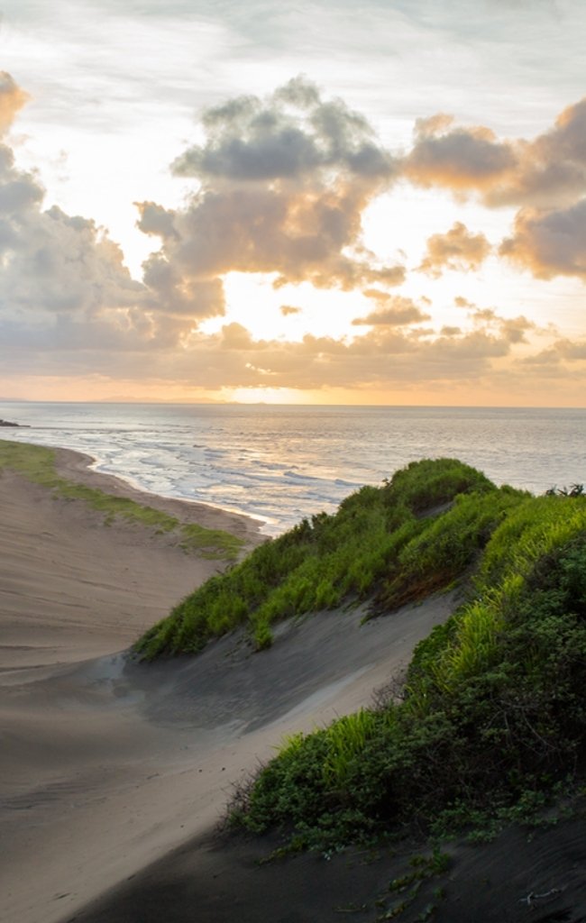 Grassy sand dunes above the sea at sunset on the Coral Coast