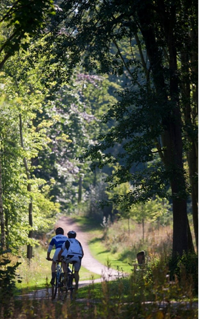 Two cyclists riding a wooded path in Flanders
