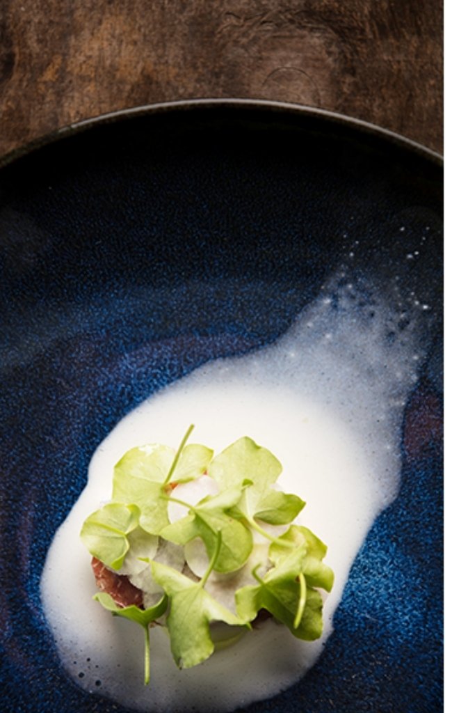A refined plated dish with greens and foam on a dark plate