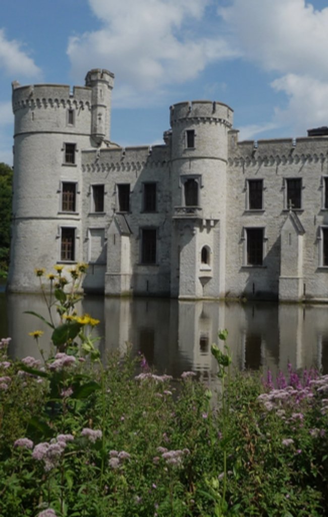 A moated castle with round towers among wildflowers in Flanders