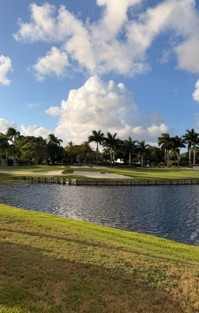 A palm-lined golf course beside a lake in Florida