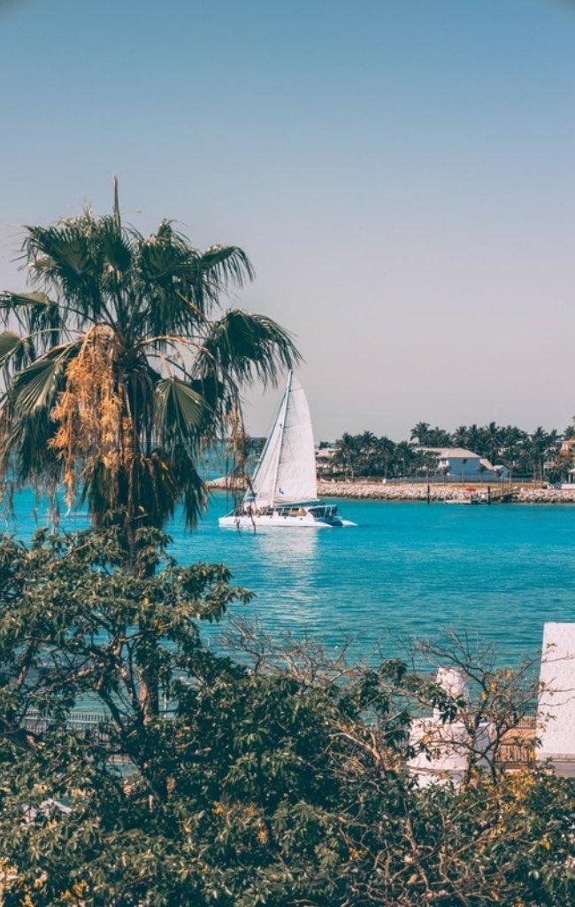 A catamaran on turquoise water framed by palm trees in the Keys
