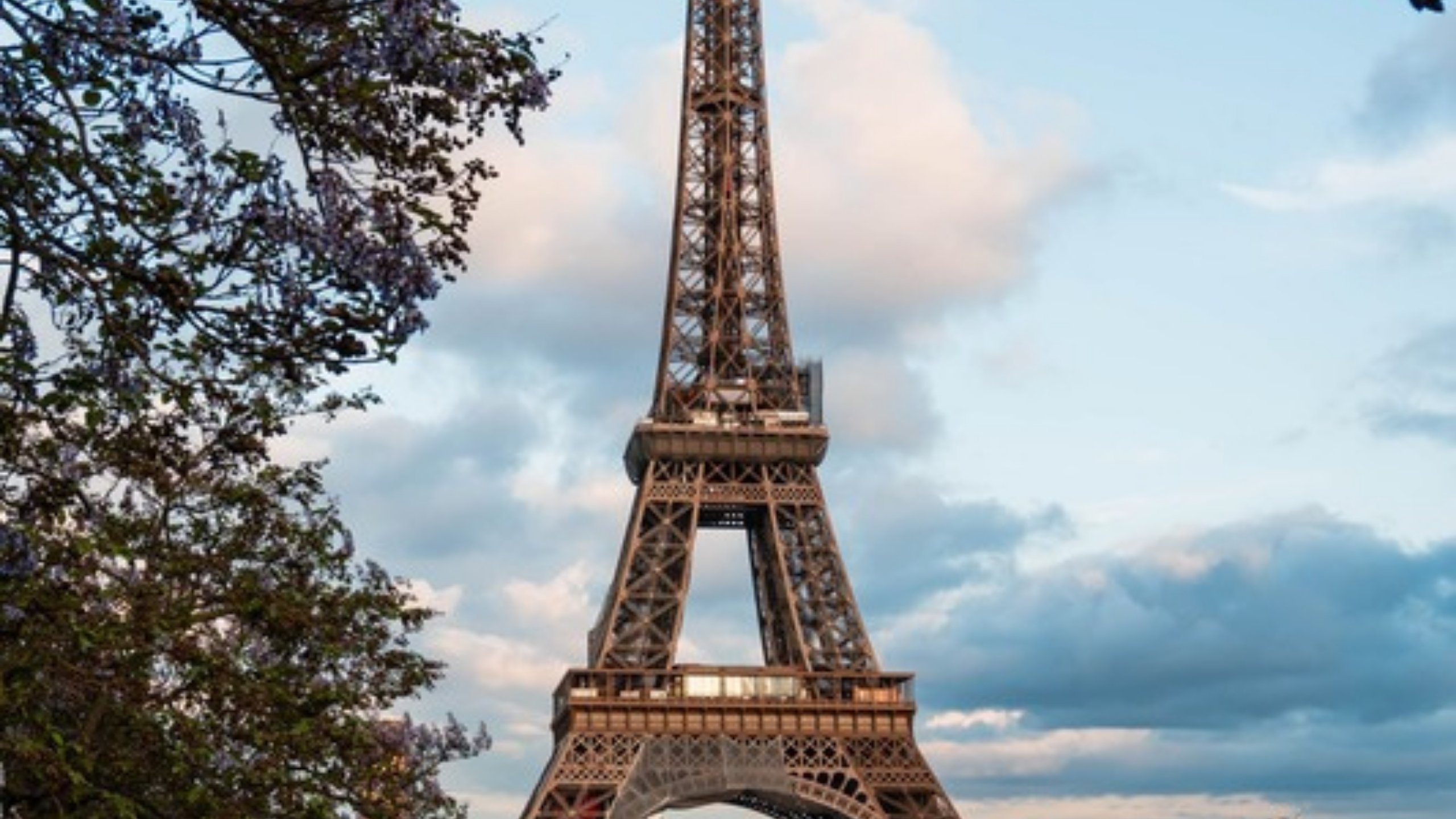 The Eiffel Tower seen through blossoming trees in spring