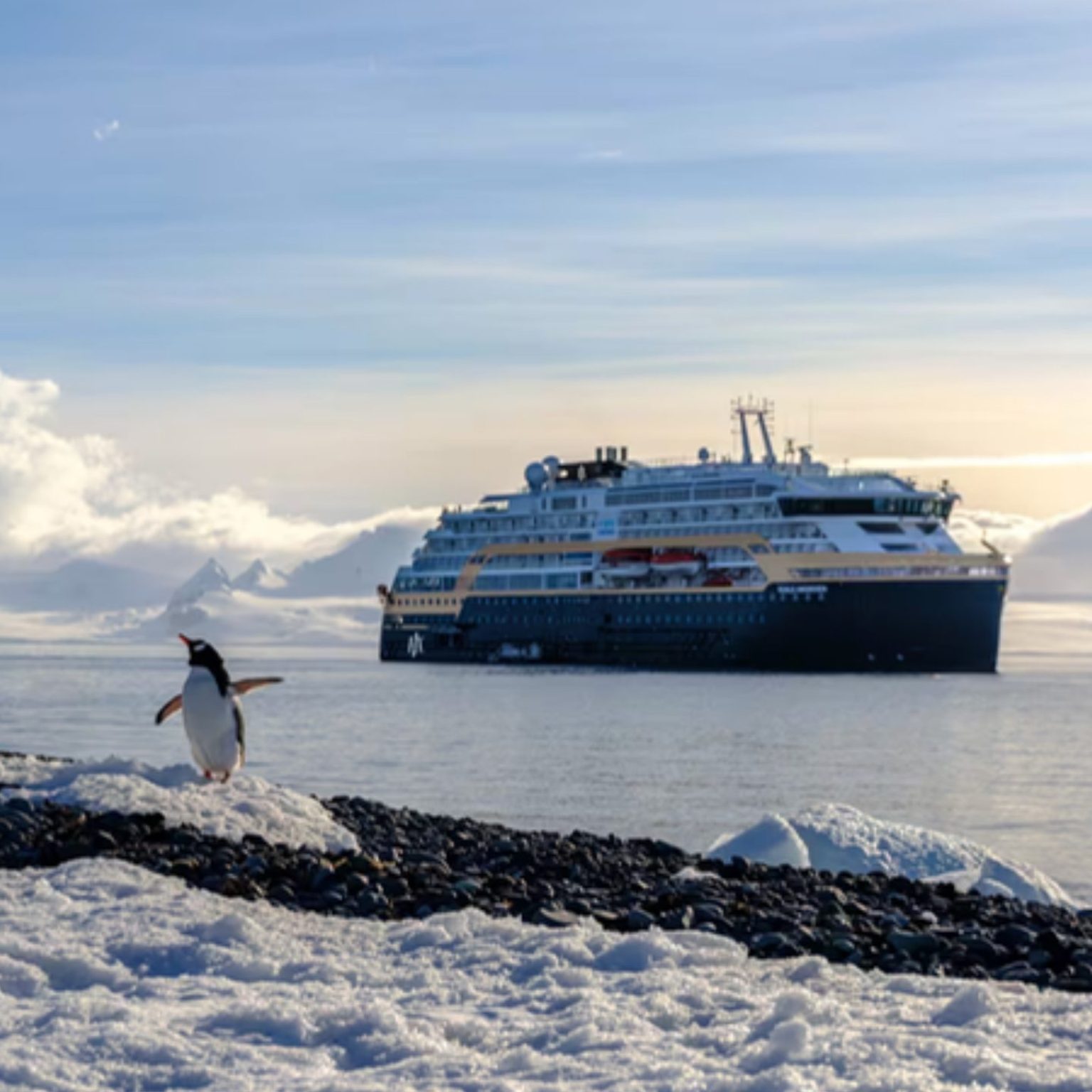 A penguin on the shore with an HX expedition ship anchored behind it in Antarctica