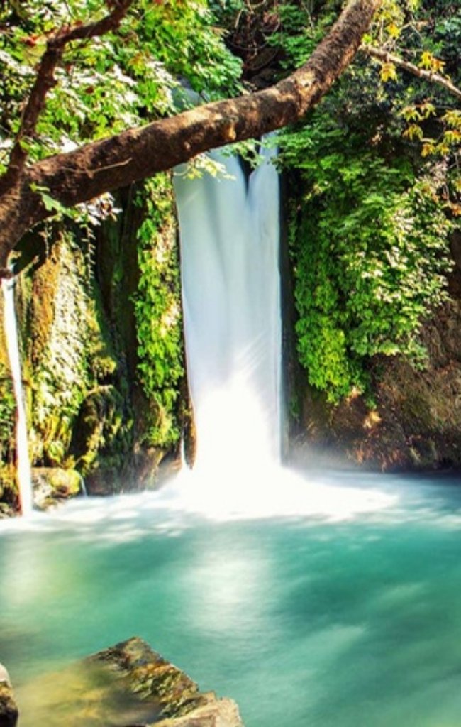 A waterfall pouring into a clear pool among green trees in northern Israel