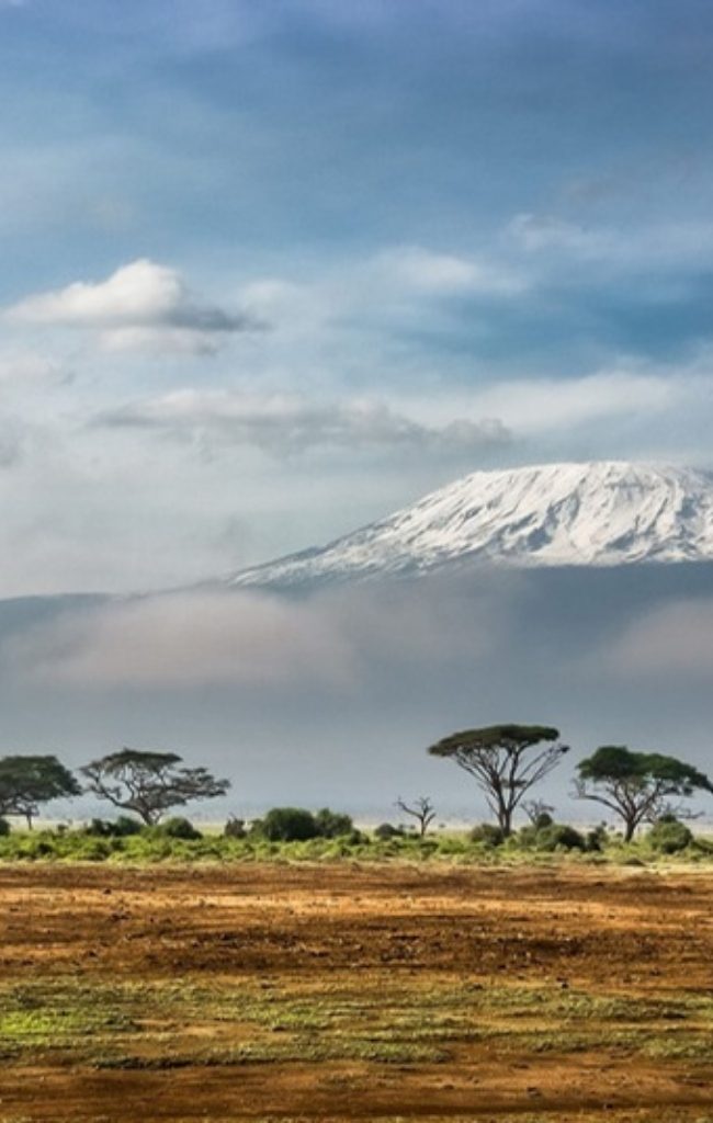 Snowcapped Mount Kilimanjaro above the savannah