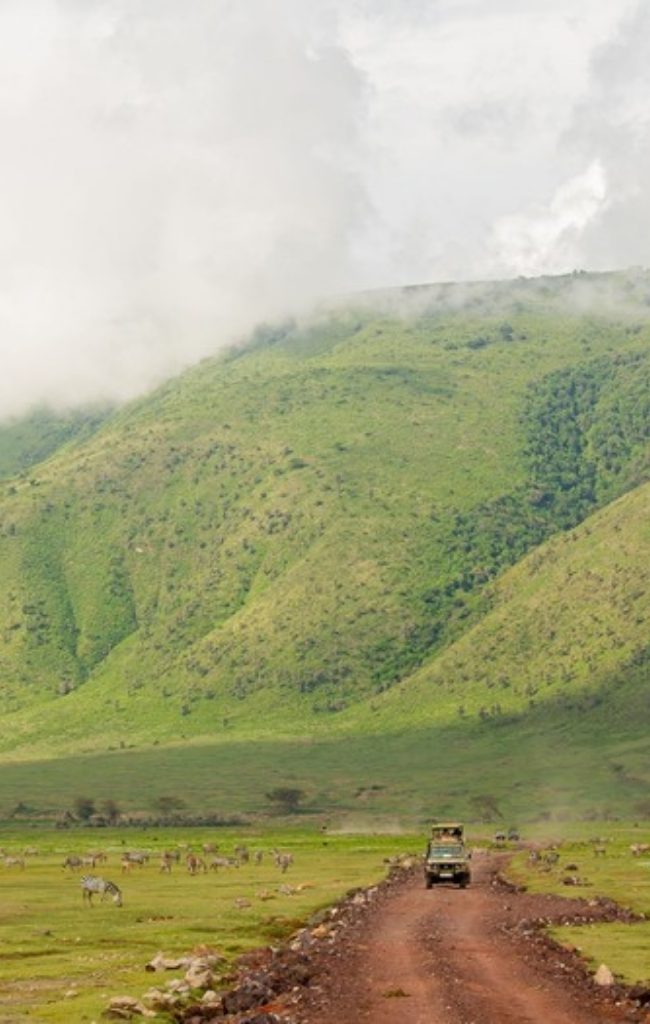 Grassland on the floor of the Ngorongoro Crater below the crater rim