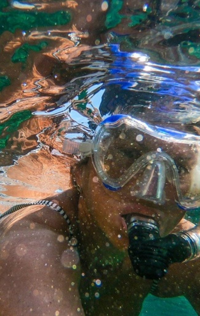 A snorkeler swimming in clear green water