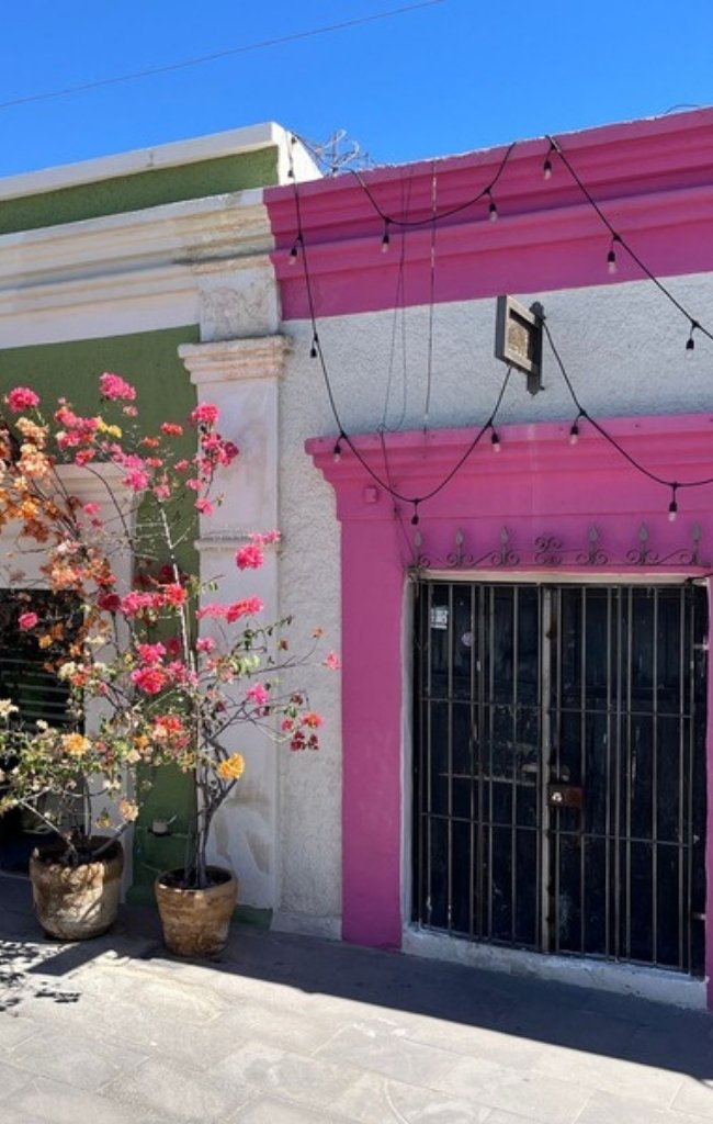 Colorful pink and green houses on a street in San José del Cabo