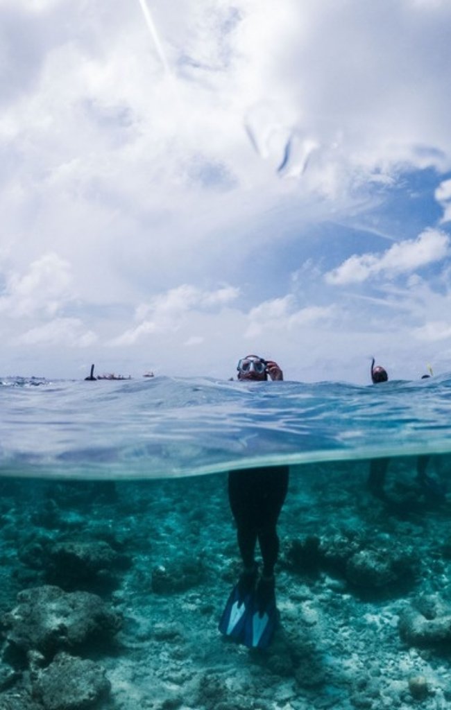 A snorkeler standing in turquoise water