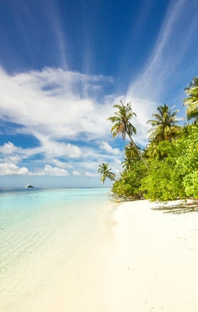 Palm trees and turquoise water on Laamu Atoll