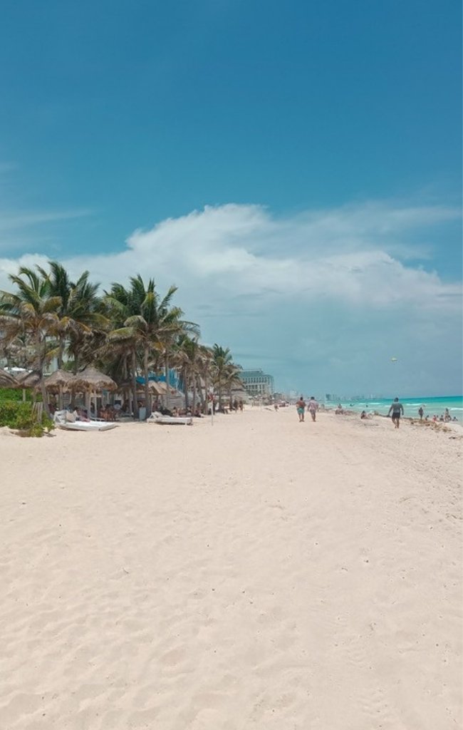Palm trees and soft white sand along a beach in Cancún