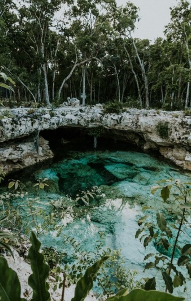 Clear turquoise water in a jungle cenote