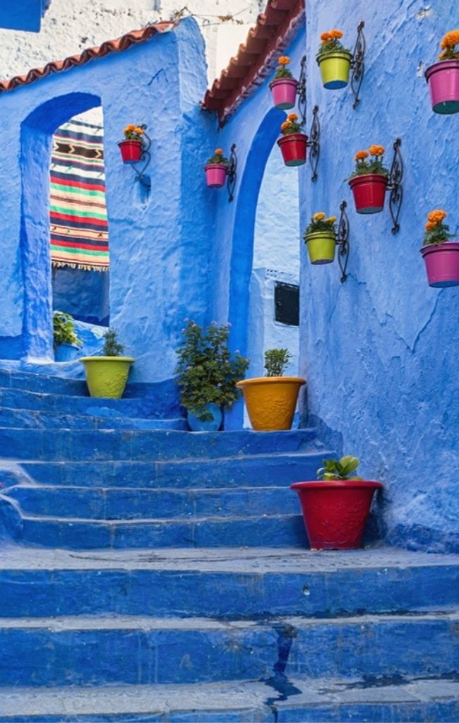 Blue-washed steps lined with flower pots in Chefchaouen