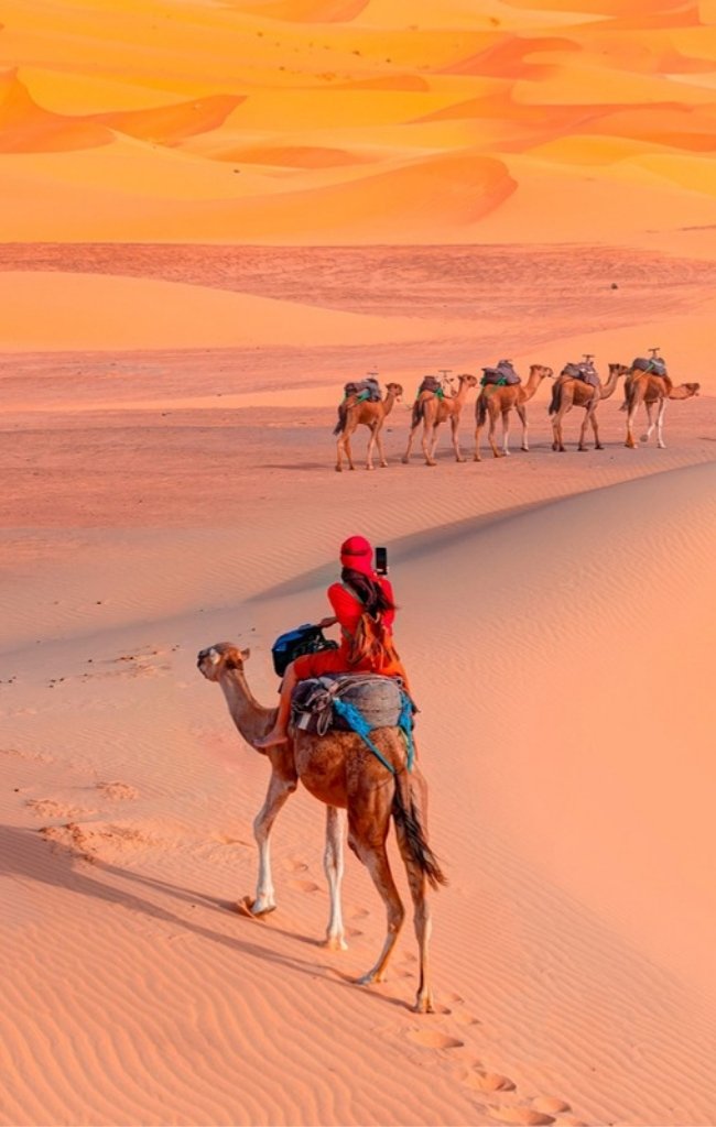 A traveler riding a camel across Sahara dunes at sunset