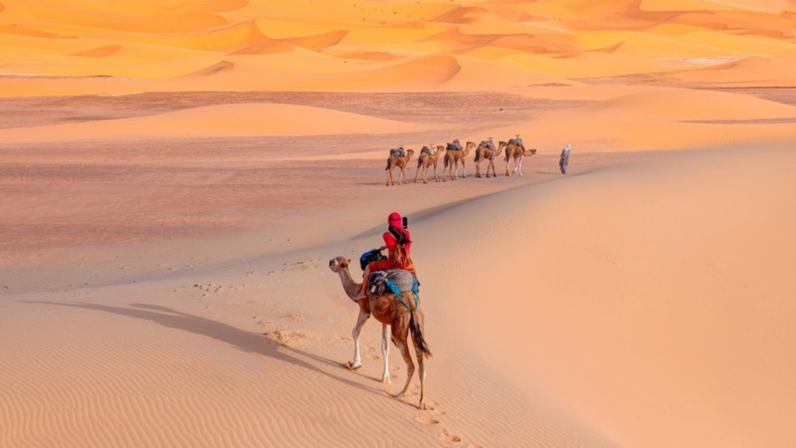 A camel caravan crossing golden dunes in the Sahara