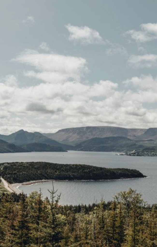 Forested hills above a lake near Norris Point