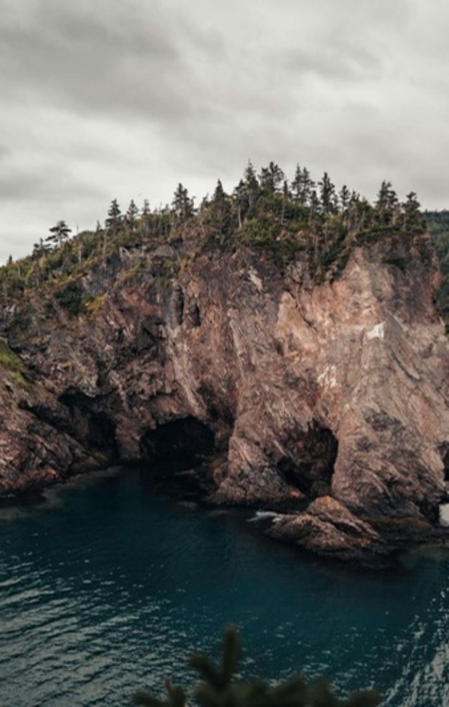 A sea arch along the coast at Chance Cove