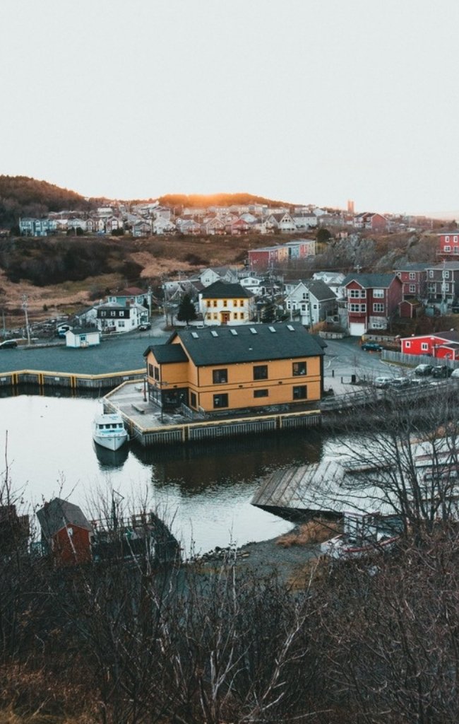 Colorful houses around St. John's harbour at sunset