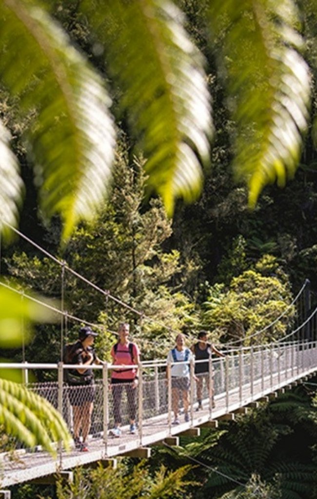 Walkers on a swing bridge through native forest in Nelson Tasman