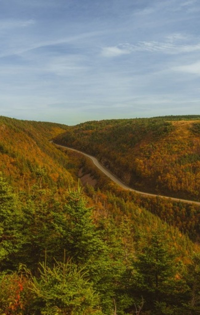 Autumn colors along a winding road in Cape Breton