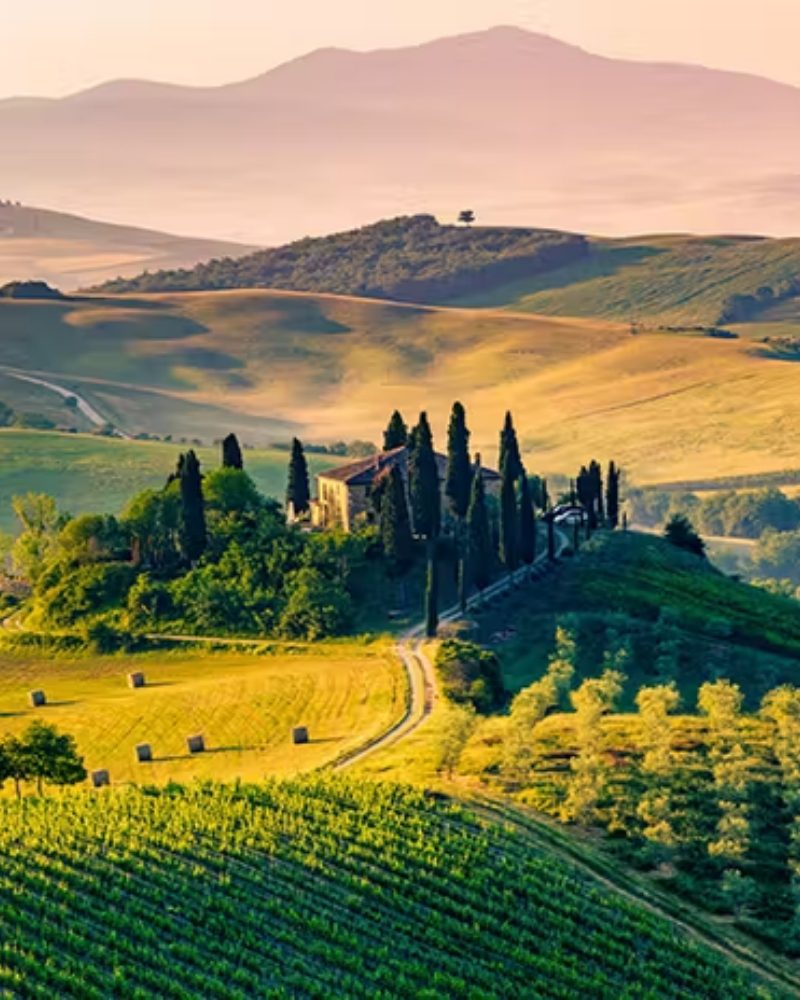 A villa among cypress trees in the rolling hills of Tuscany