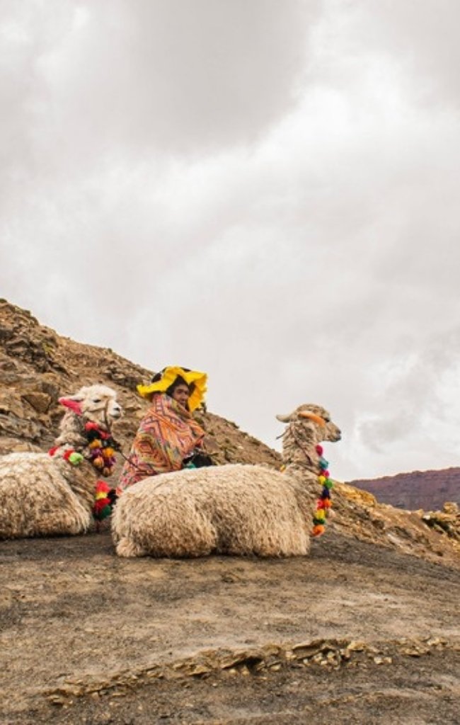 A shepherd in colorful Andean textiles with two llamas