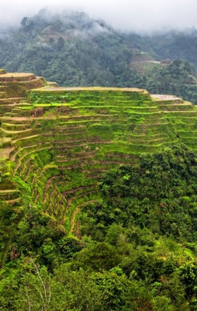 The Banaue rice terraces with misty mountains behind