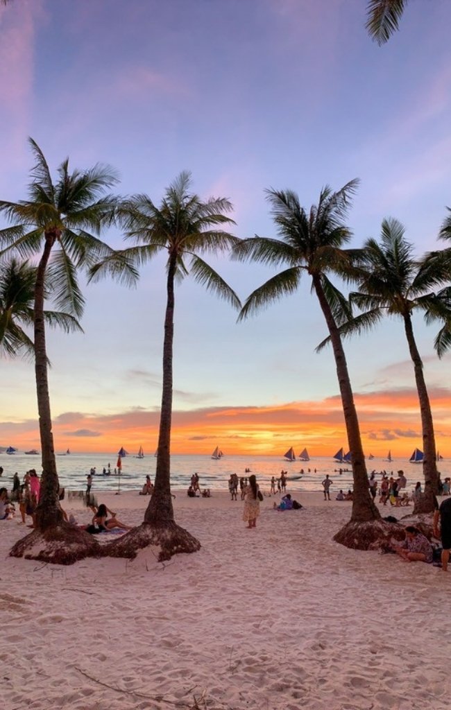 Sailboats and coconut palms at sunset in Boracay