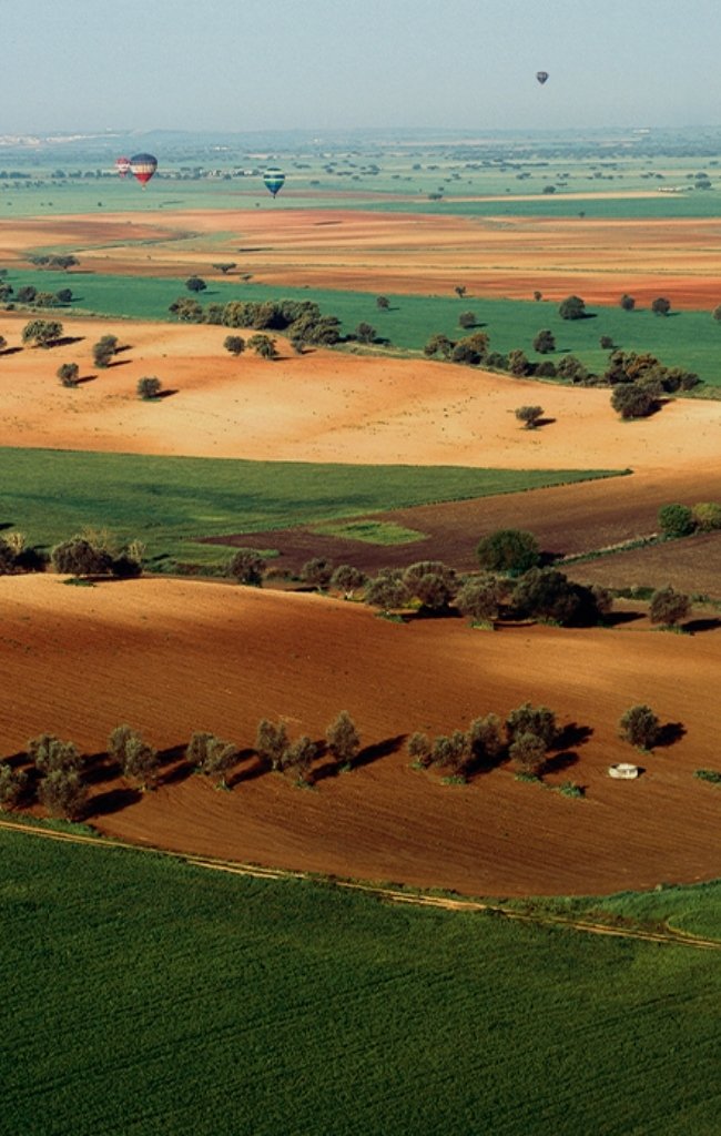 Rolling fields and cork oaks in the Alentejo countryside