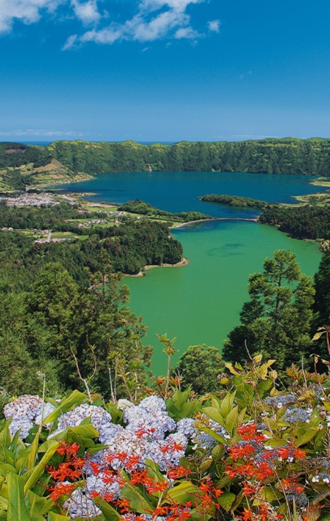 Hydrangeas above the twin lakes of Sete Cidades in the Azores